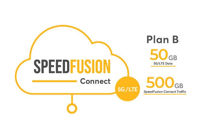 Peplink eSIM Datos - Plan B