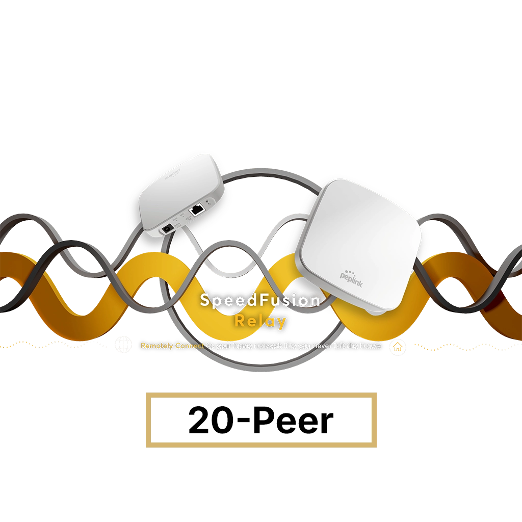 SpeedFusion Connect Relay License (20-peer)