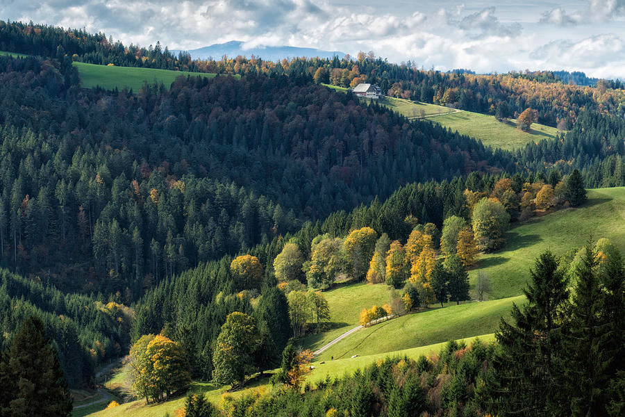 Starlink im Schwarzwald – Mobilfunklöcher ade?
