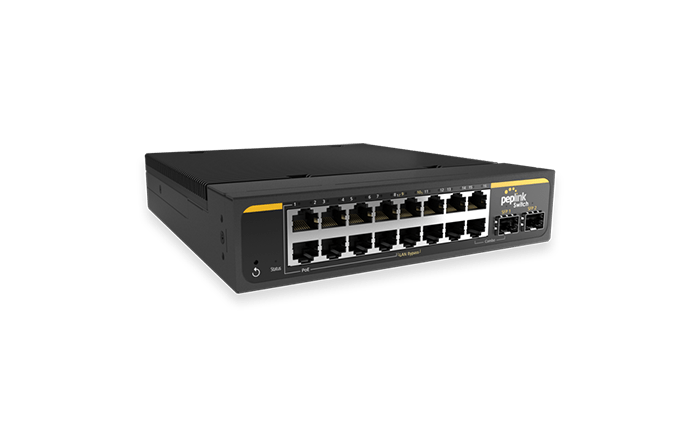 SD Switch 16-Port Rugged